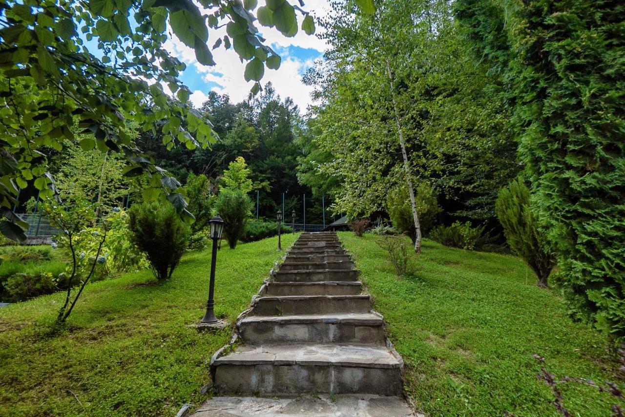 Hotel Tisa Băile Olăneşti Buitenkant foto